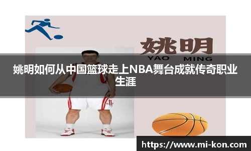 zoty中欧