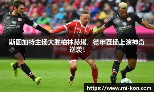 zoty中欧