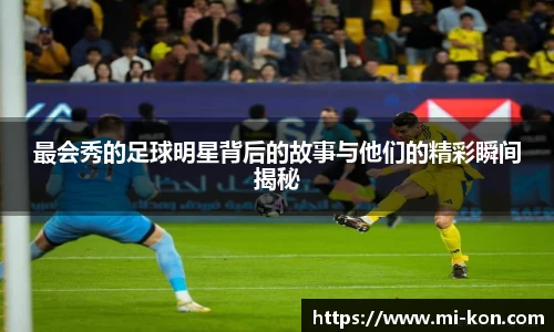 zoty中欧