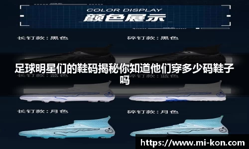 zoty中欧有限公司