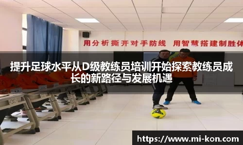 zoty中欧